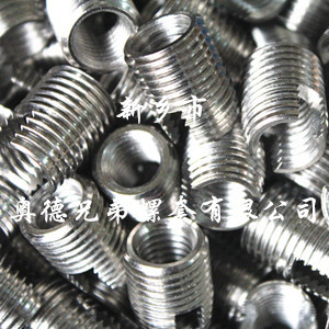 揭阳ENTS自攻螺套